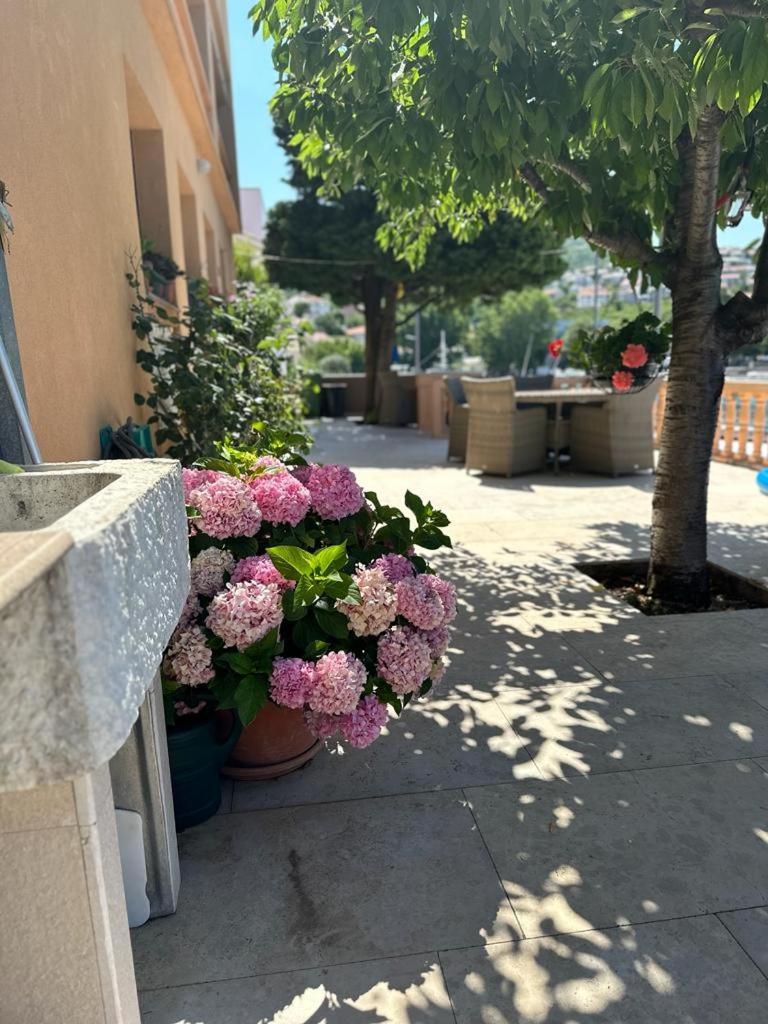 Suzana Apartmán